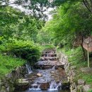 데미옆골 이미지