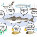 등대해수욕장 이미지