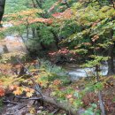 제 507회 특별산행 강원도 설악산 울산 바위 단풍 산행 (2026.10.31) 이미지