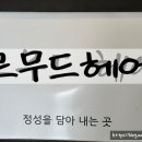 르무드헤어 이미지