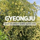 밍밍갤러리