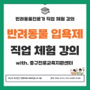 중구교육지원센터 | 반려동물아로마전문가직업체험_중구진로교육지원센터_반려동물전문가
