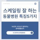 광진동물병원 이미지