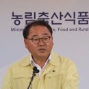 익어가는 밀./ 상춘객 몰린 꽃동산/ 22일 공식 개통된 서리풀 터널/ 강원도 산불 농업 분야 복구지원 대책 발표 이미지