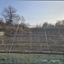 솔라공인중개사사무소 이미지