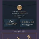페리토고양 | 일산동물의료원 페리토에서 강아지 예방접종 및 내원 후기