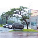 봉강면사무소 네이버블로그