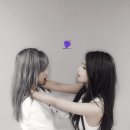 별콩 이미지