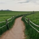 산과들공인중개사사무소 이미지