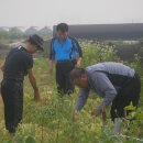 창연농장 이미지