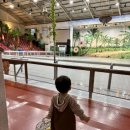 점보빌리지 | 제주도 아기랑 갈만한곳 추천_점보빌리지 방문후기