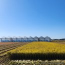 민수농장 이미지