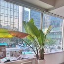 자임당한의원 명동점 이미지