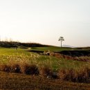 스카이앤오션 이미지