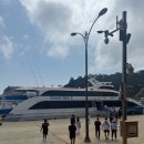 독도리 | 울릉도 독도 크루즈 탑승기, 실제 입도까지 성공한 생생 후기 🇰🇷