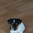 옹기종기 이미지