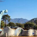 금산행정사 사무소 이미지