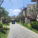 트러스트체크 이미지