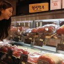 미트모아 이미지