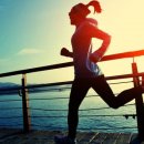 머슬앤핏 이미지