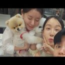 마이진 가수 TV 라이브 이미지