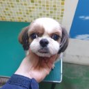 용화로 이미지
