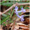 해남교차로~삼산경계 | 해남 - 두륜산(頭輪山) 703m &lt;2/2&gt; (240322-12)