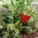 보수동 주민센터 이미지