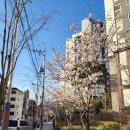 쌍용예가아파트경로당 이미지