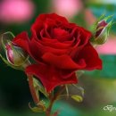 광산구-011 이미지