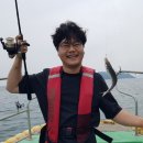 거제진선장 이미지