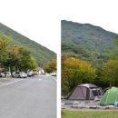 표충사매표소앞 이미지