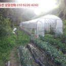 분당-334 이미지