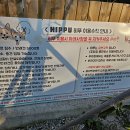 히푸(HIPPU) 이미지