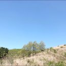 주홍목장 이미지