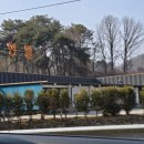 발리무인텔 이미지