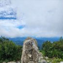 사명산 Daum카페