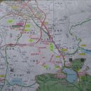 문화광장길 이미지