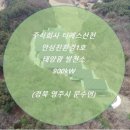영주4태양광발전소 이미지