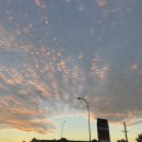 영진사이버대학교 서울캠퍼스 이미지