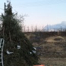 정월농산 이미지