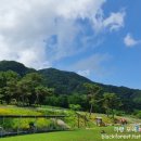 황가네(춘천) 이미지