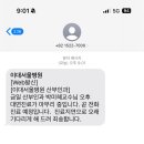 쪼쪼 이미지