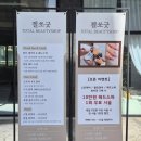 젤쏘굿