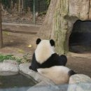 팬더 - 수원시 권선구 세권로 216 | 팬더