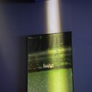 펜스터(Fenster)