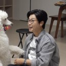 개와늑대의시간 티스토리