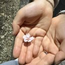 고흥여자중학교 | 엥 왜 개학