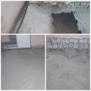 흥전초교 이미지