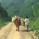 암소한마리 - 수원시 권선구 여기산로10번길 1 | 암소한마리